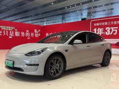 Tesla Model 3 Edition - фото 1