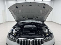 BMW 3 Series 320Li M Sport Package - фото 19