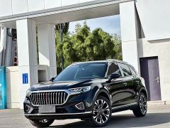 Hongqi HS5 2019 2.0T Smart Flagship Four-Wheel Drive - фото 1
