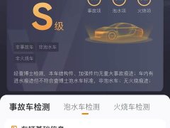 Hongqi HS5 2019 2.0T Smart Flagship Four-Wheel Drive - фото 10