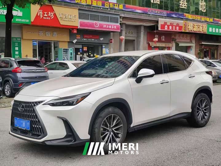 Lexus NX 260 front-wheel drive Chuangchi version