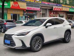 Lexus NX 260 front-wheel drive Chuangchi version - фото 1