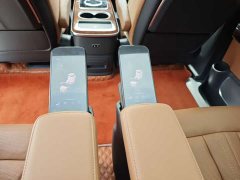 Hongqi HQ9 2.0T Zhilian Qichang Edition - фото 8