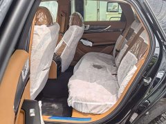 Hongqi H9 2.0T two-wheel drive Qixiang luxury business version 5 seats - фото 13