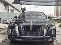 Hongqi H9 2.0T two-wheel drive Qixiang luxury business version 5 seats - фото 2
