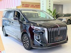 Hongqi HQ9 PHEV 2.0T AWD Business Edition - фото 8