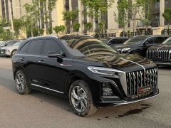 Hongqi HS3 PHEV 115km Jinwei Edition - фото 11