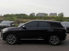 Hongqi HS3 PHEV 115km Jinwei Edition - фото 13