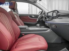 Hongqi HS5 2.0T two-wheel drive Xuanying Edition - фото 15