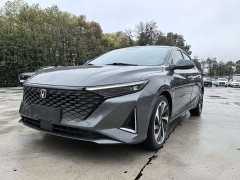 Ruicheng PLUS 2023 1.5T DCT premium - фото 1