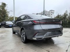 Ruicheng PLUS 2023 1.5T DCT premium - фото 9