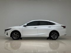 Ruicheng PLUS 1.5T DCT premium - фото 7