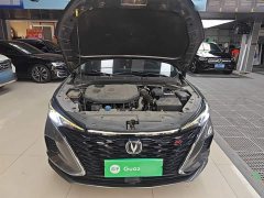 Changan Eado 2021 PLUS Blue Whale NE 1.4T GDI DCT Distinguished Type - фото 20