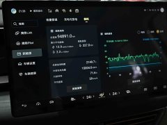 Denza D9 DM-i 970 four-wheel drive flagship - фото 15