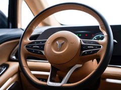 Voyah Lantu Dreamer 2024 PHEV Extra Long Range Premium Edition - фото 15
