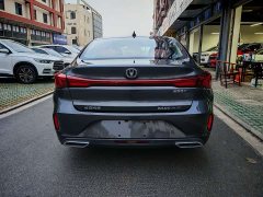 Changan Yidong 2023 Changxiang Edition PLUS Blue Whale NE 1.4T GDI DCT Distinguished Edition - фото 6