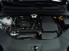 BYD Sea Lion 06 DM-i 205 Pilot Plus - фото 6