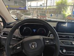 Ruicheng CC Blue Whale Edition 1.5T DCT Luxury - фото 6
