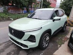 Baojun RS-3 SOODA 1.5T CVT Dashen Edition - фото 2