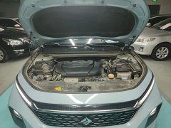 Baojun Valli 2021 1.5T Dali Sky CVT Exclusive - фото 20
