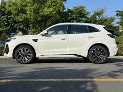 Hongqi HS5 2023 2.0T Qiling Pro version - фото 5