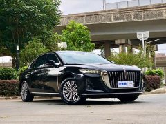 Hongqi H5 2024 1.5T DCT Zhilian Qiyun Edition - фото 6