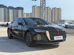 Hongqi H5 2024 2.0T Automatic Zhilianqichang Edition - фото 3