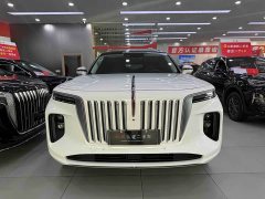 Hongqi E-HS9 460km flagship version six seats - фото 2