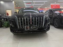 Hongqi HS5 2.0T two-wheel drive Qiyue Pro version - фото 2