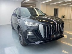 Hongqi HS5 2025 2.0T two-wheel drive Qixiang Pro version - фото 3