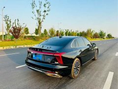 Hongqi H5 2.0T Automatic Zhilianqichang Edition - фото 9