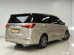 Buick GL8 ES Lu Zun 653T Exclusive - фото 18