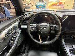 Trumpchi GS8 Dual Engine Series 2.0TM Four-wheel Drive Premium Edition (Seven Seats) - фото 17