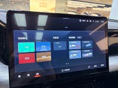 Trumpchi GS8 Dual Engine Series 2.0TM Four-wheel Drive Premium Edition (Seven Seats) - фото 19