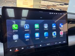 Trumpchi GS8 Dual Engine Series 2.0TM Four-wheel Drive Premium Edition (Seven Seats) - фото 20