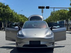 Tesla Model Y long-range all-wheel drive version - фото 17