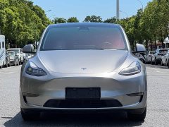 Tesla Model Y long-range all-wheel drive version - фото 2