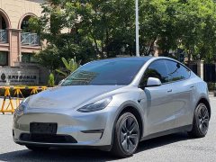 Tesla Model Y long-range all-wheel drive version - фото 3