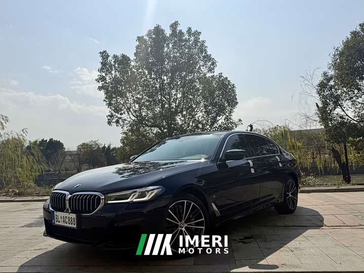 BMW 5 Series 530Li Luxury M Sport Package - автомобиль из Китая