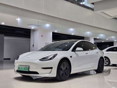 Tesla Model 3 2022 Rear-Wheel Drive - фото 1