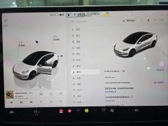 Tesla Model 3 2022 Rear-Wheel Drive - фото 3