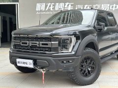 Ford F-150 Raptor 2022 3.5T Raptor - фото 16