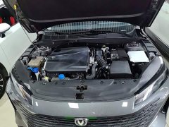 Changan Yida Blue Whale NE 1.5T GDI DCT Pilot Edition - фото 20