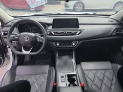Ruicheng CC Blue Whale Edition 1.5T DCT Luxury - фото 10