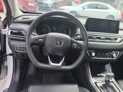 Ruicheng CC Blue Whale Edition 1.5T DCT Luxury - фото 11