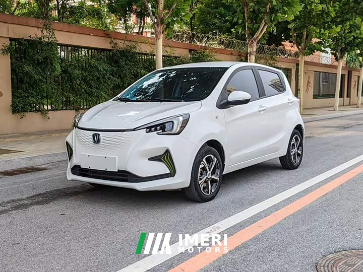 Changan Benben E-Star 2020 Heartbeat Edition ternary lithium
