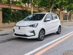 Changan Benben E-Star 2020 Heartbeat Edition ternary lithium - фото 2