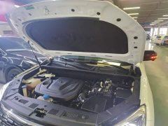 Changan CS75 Blue Whale Edition 1.5T DCT Premium - фото 20