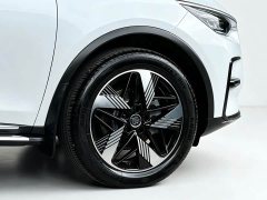 BYD Tangxin Energy 2023 DM-i Champion Edition 112KM Honor Type - фото 17