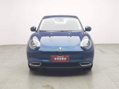 Ora Euler Good Cat 2022 Morandi Edition 400km standard battery life premium type ternary lithium - фото 3